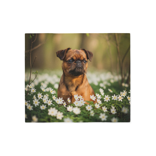 Brussels Griffon Sweatshirt Blanket