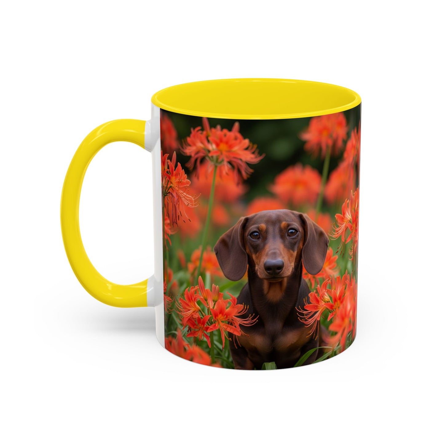 Dachshund Accent Coffee Mug - Perfect Gift for Dog Lovers