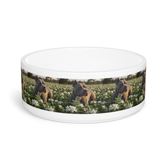 Bully Kutta Pet Bowl