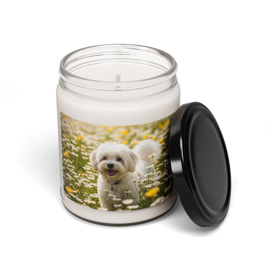 Lowchen- Scented Soy Candle, 9oz