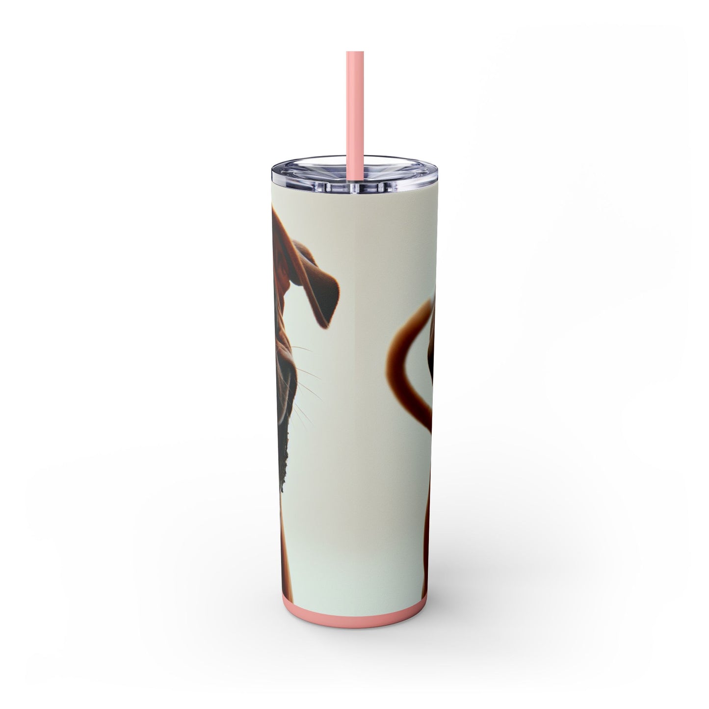 Boxer Skinny Tumbler with Straw, 20oz