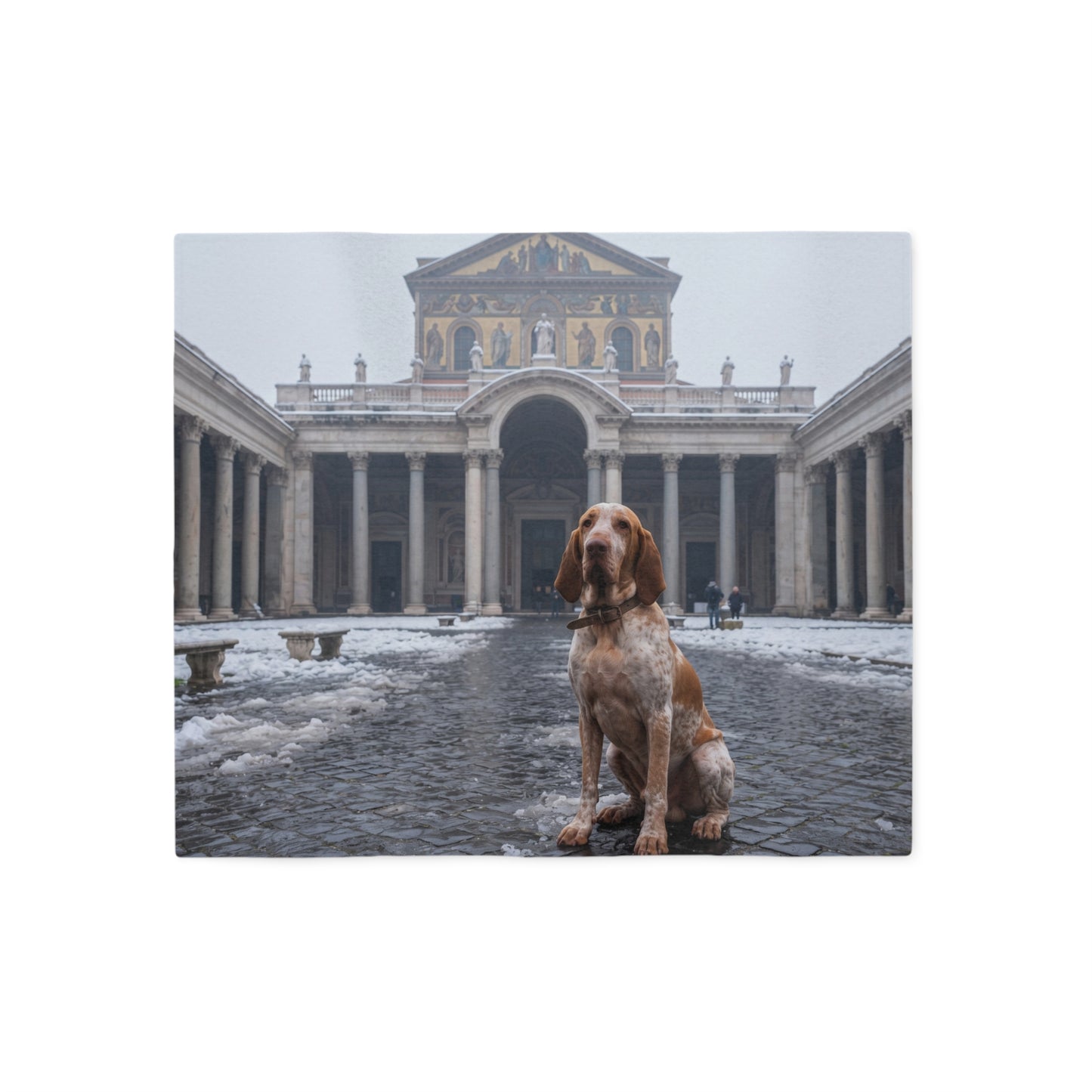 Bracco Italiano Blanket