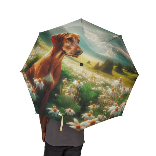 Bavarian Mountain Scent Hound Semi-Automatic Foldable Umbrella