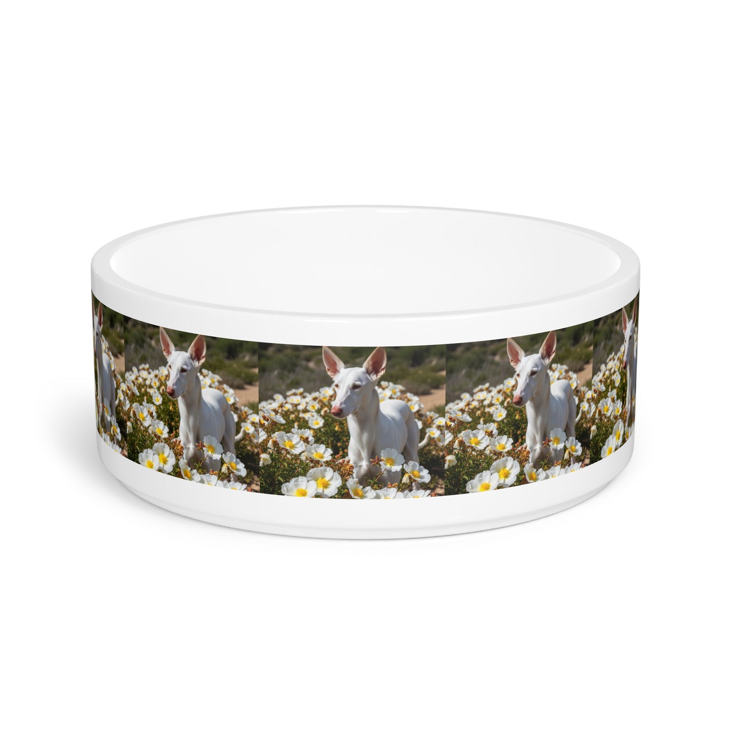Ceramic Pet Bowl – 16 oz Dog Feeding Bowl