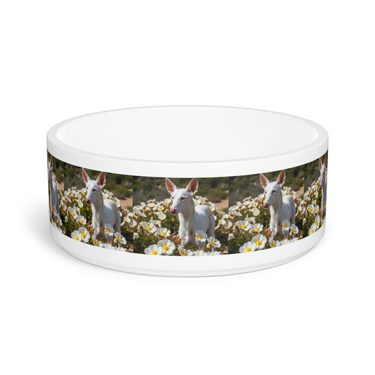 Ibizan Hound Pet Bowl