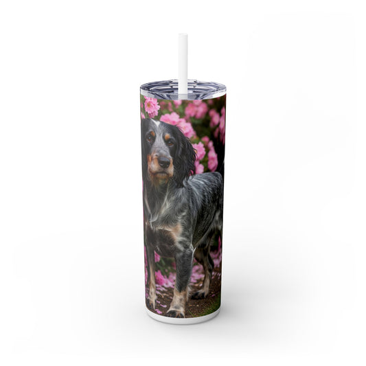 Blue Picardy Spaniel Tumbler with Straw, 20oz
