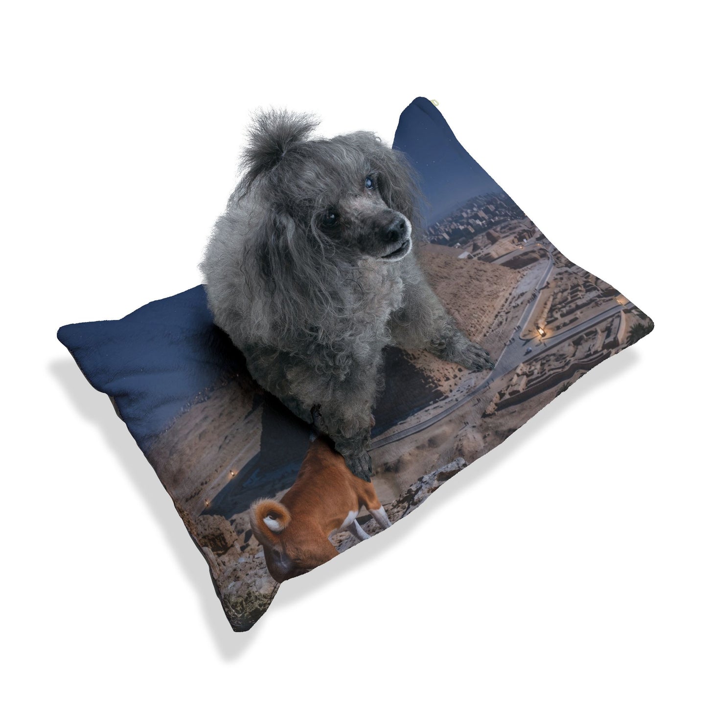 Basenji Pet Bed