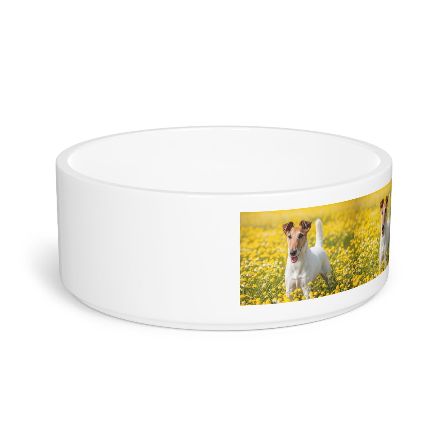 Gamelle pour Fox Terrier à poil lisse