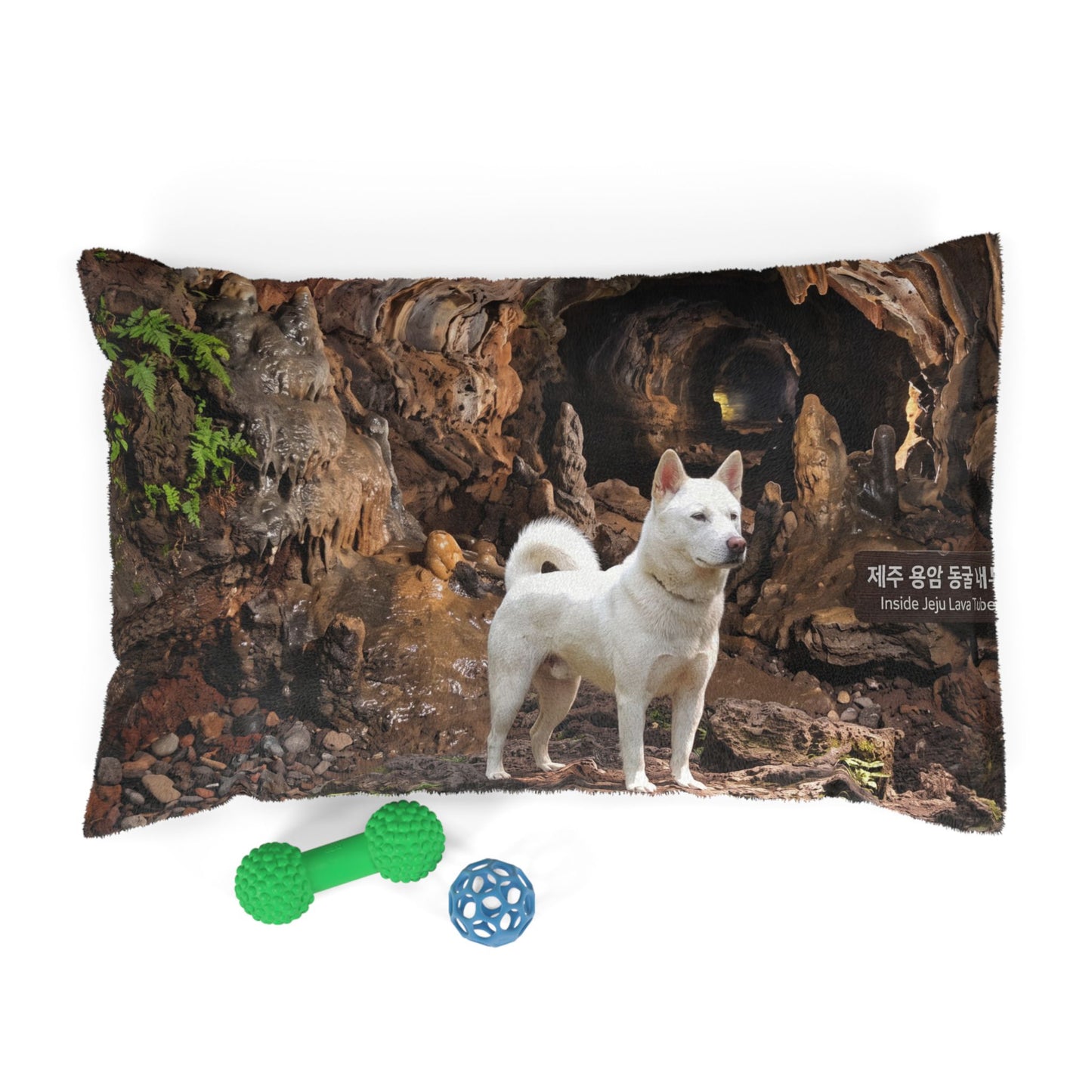 Korean Jindo Dog Pet Bed
