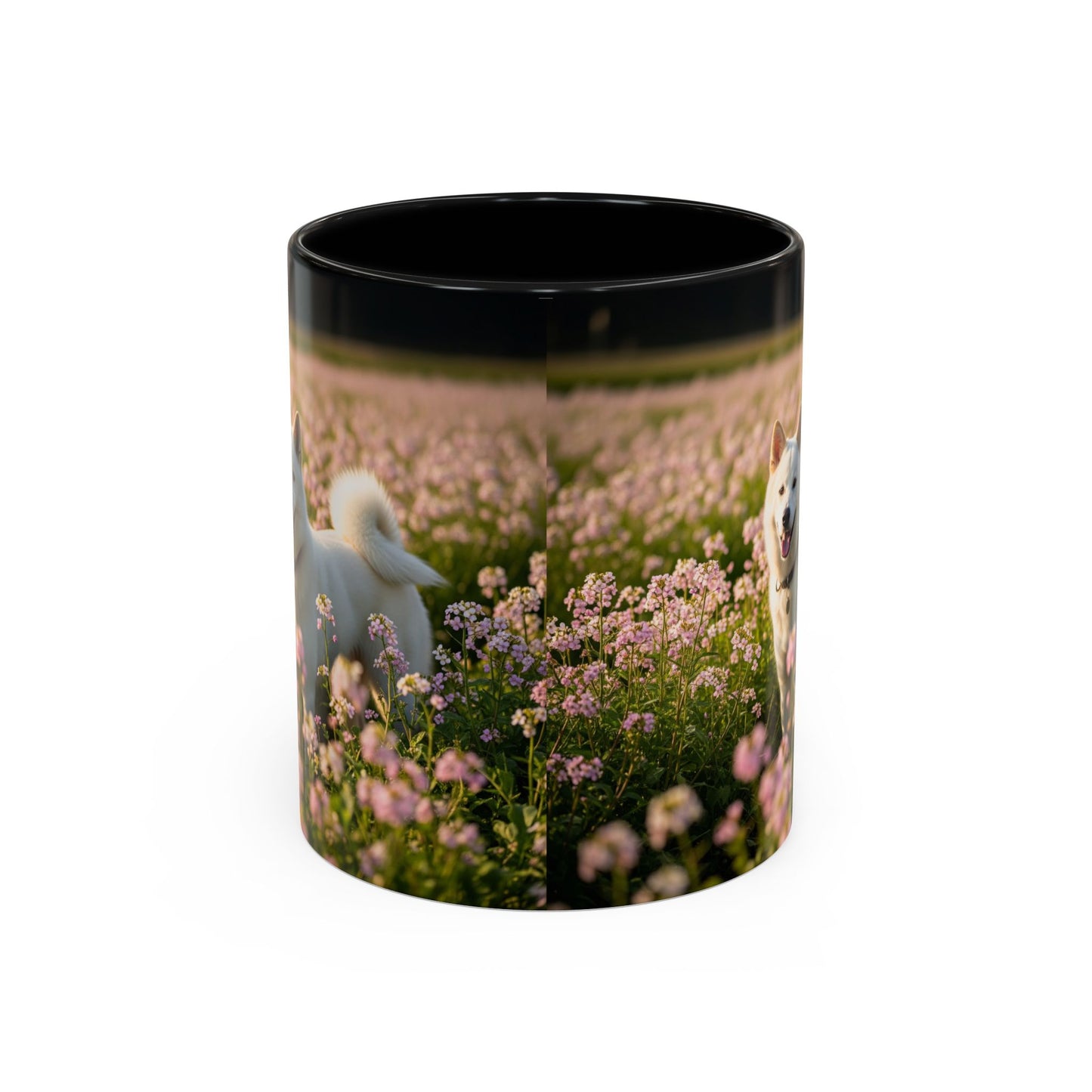 Mug Kishu Ken Accent Coffee - Cadeau idéal pour les amoureux des chiens