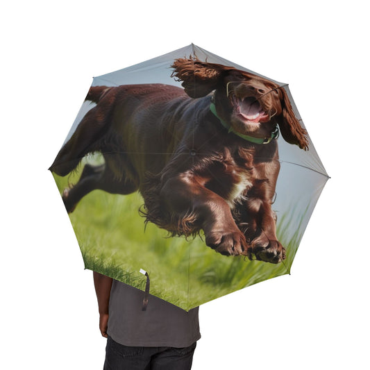 Irish Water Spaniel Semi-Automatic Foldable Umbrella
