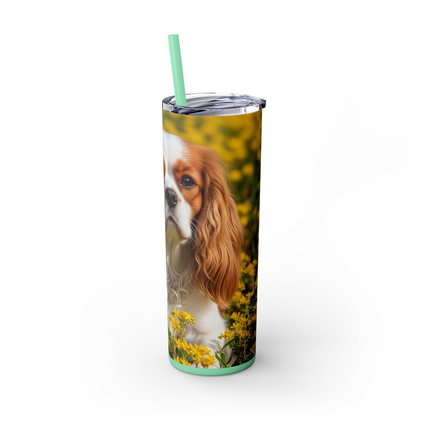 Skinny Tumbler with Straw – 20 oz Stainless Steel Cup