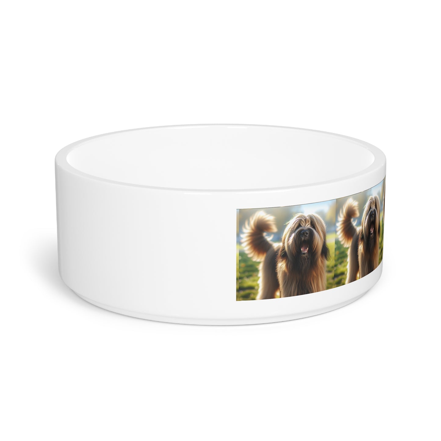 Briard Dog Pet Bowl