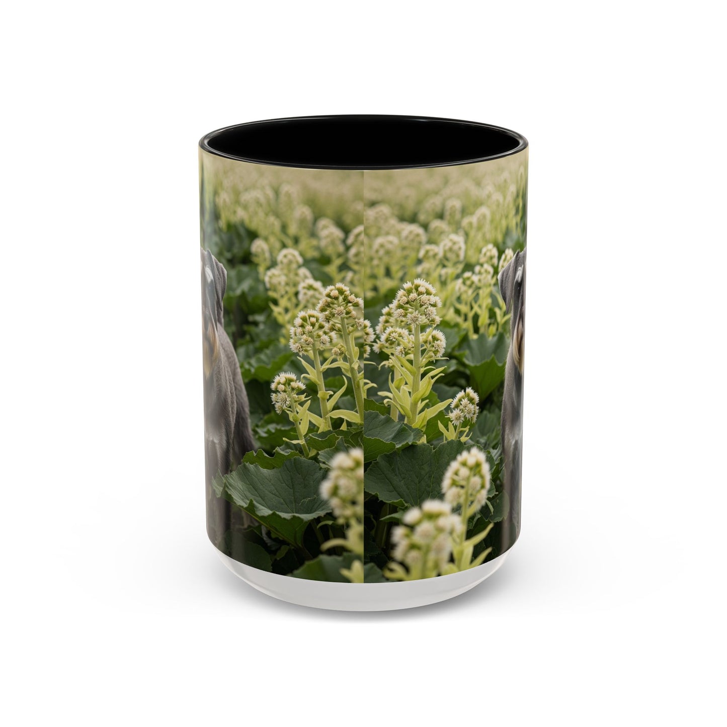 Mug à café avec motif Schnauzer standard - Cadeau idéal pour les amoureux des chiens