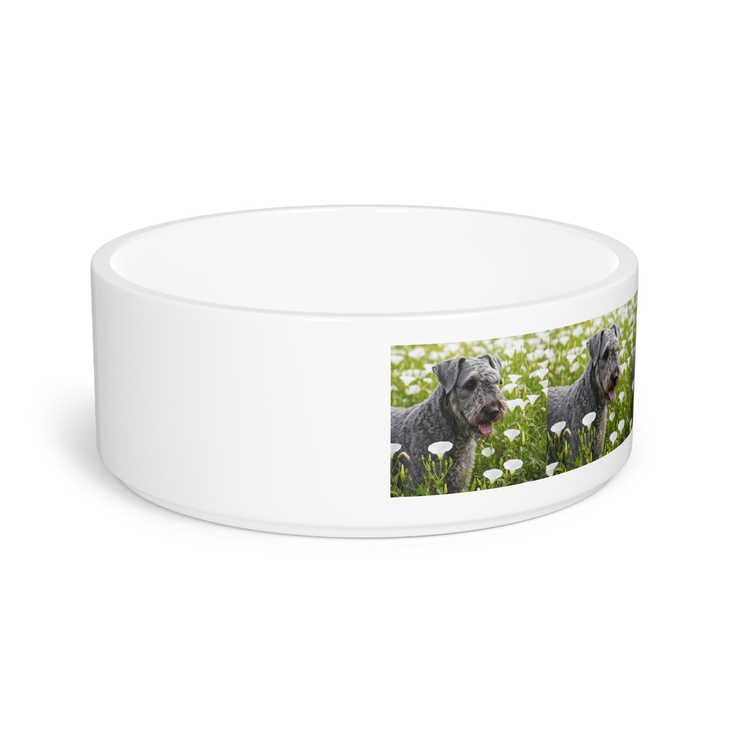 Ceramic Pet Bowl – 16 oz Dog Feeding Bowl