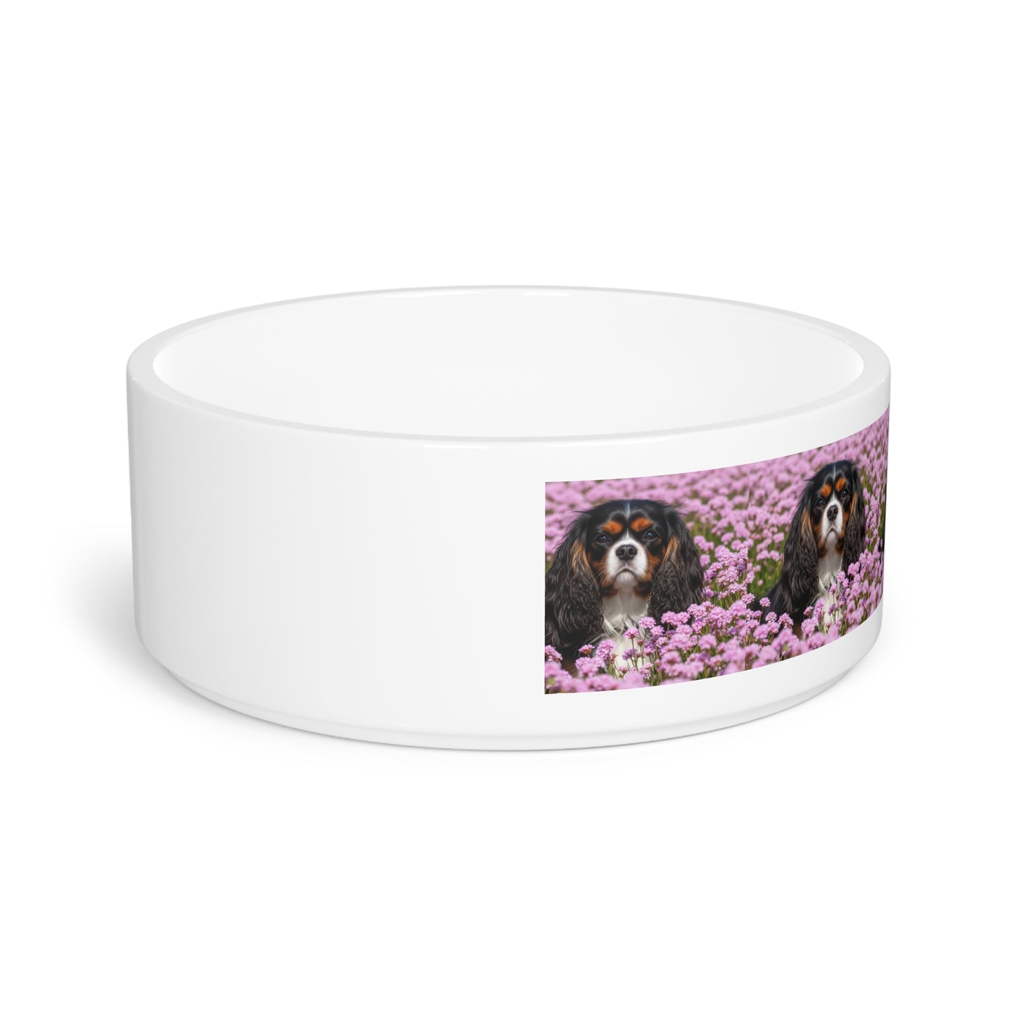 King Charles Spaniel Pet Bowl