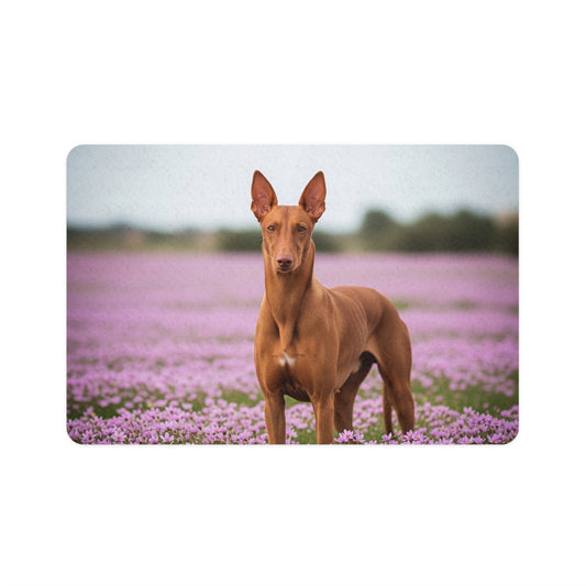 Pet Food Mat (12x18) - Pharaoh Hound