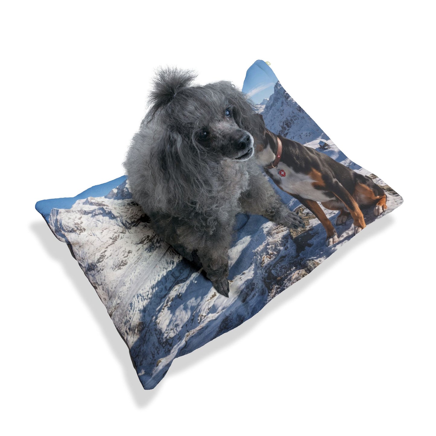 Entlebucher Mountain Dog Pet Bed