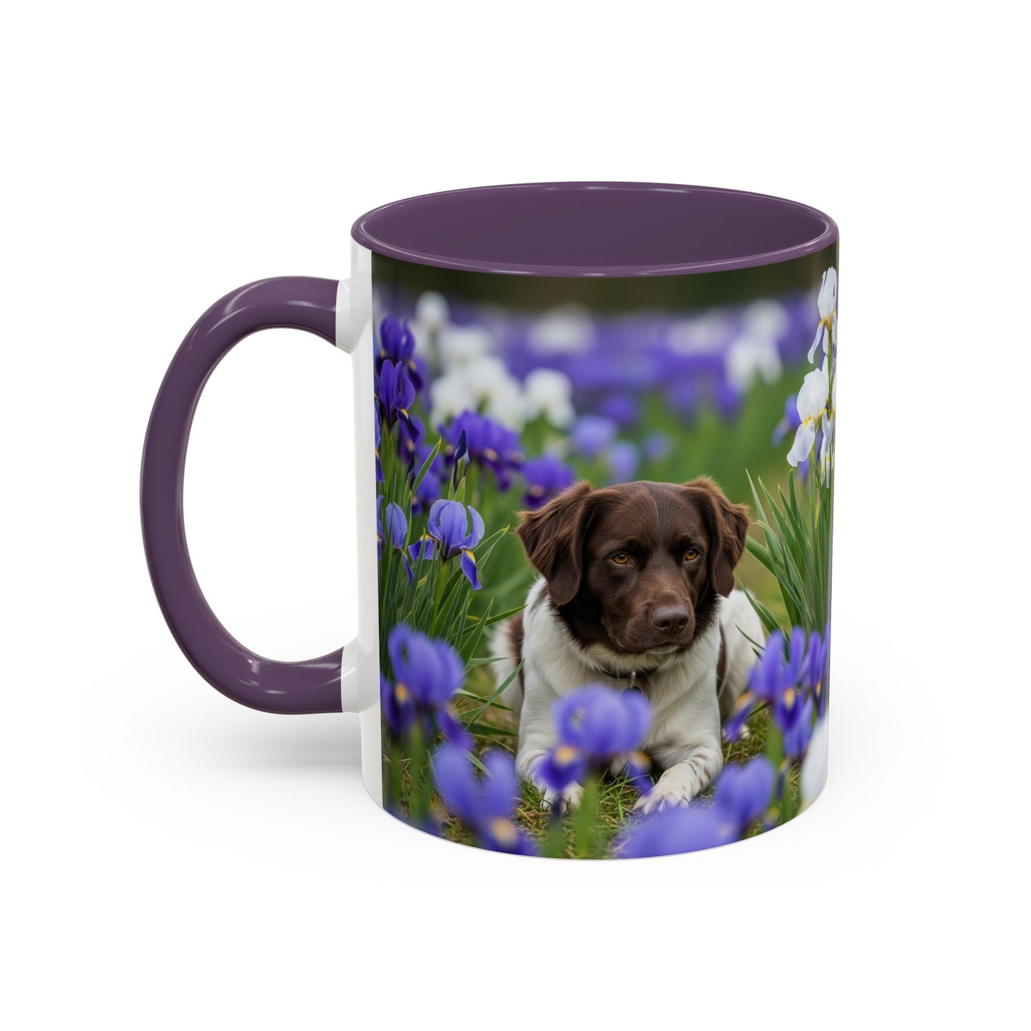 Mug Stabyhouns Accent - Cadeau idéal pour les amoureux des chiens