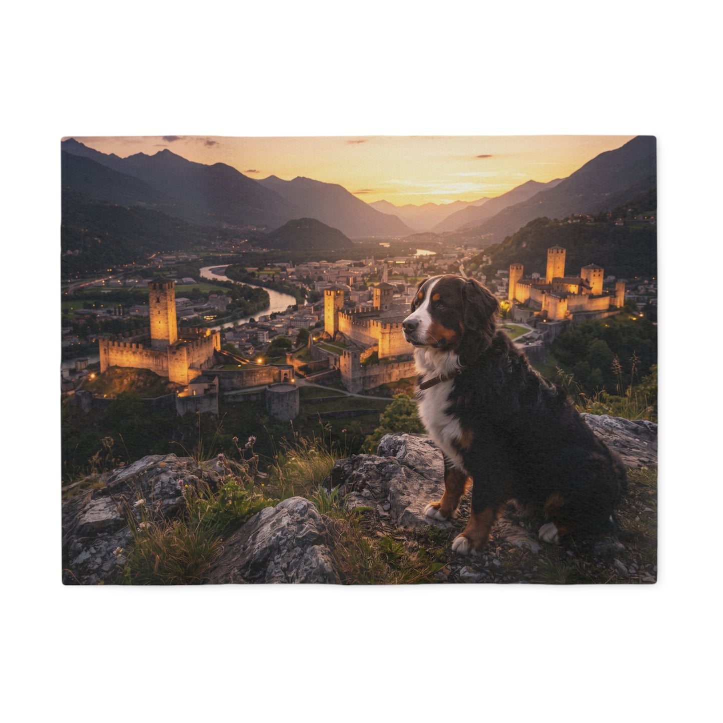 Bernese Mountain Dog Blanket