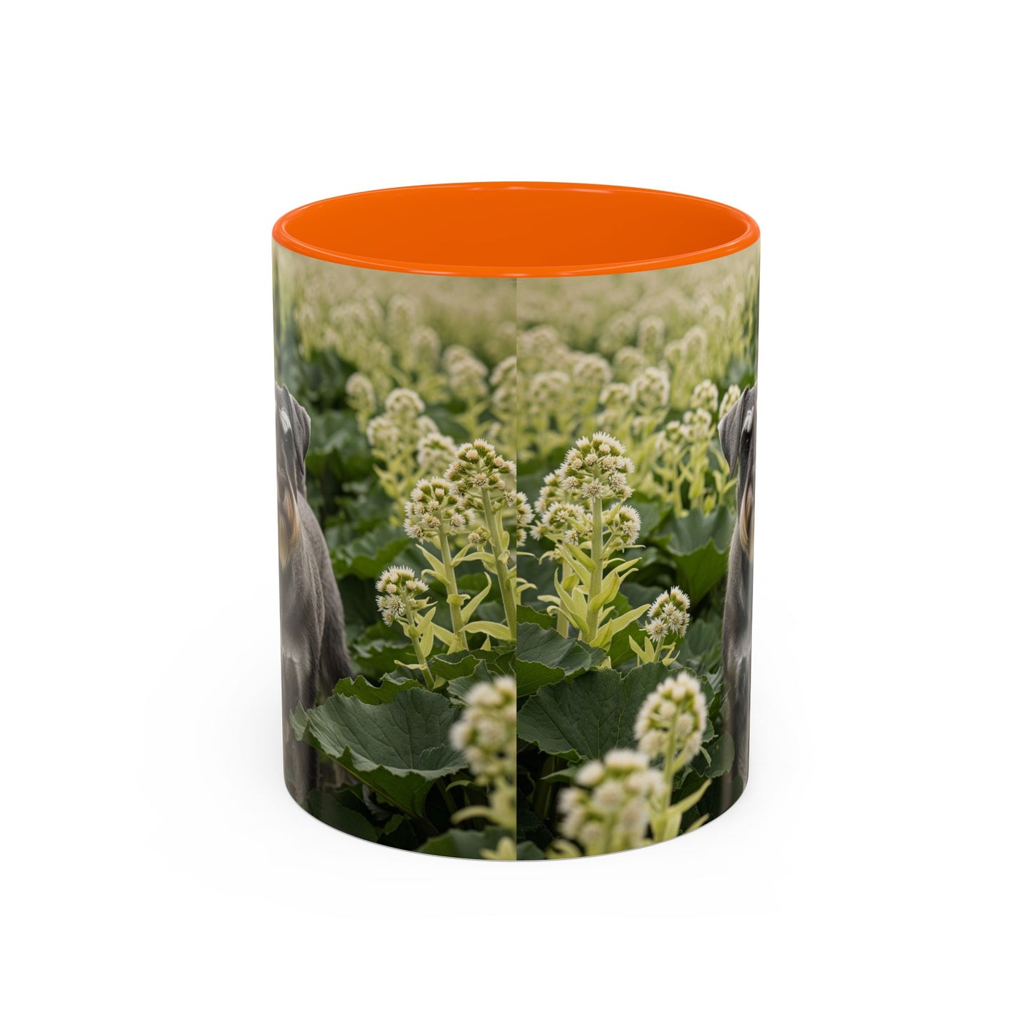 Mug à café avec motif Schnauzer standard - Cadeau idéal pour les amoureux des chiens