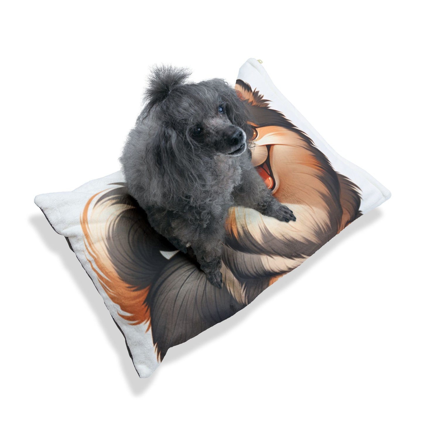Swedish Vallhund Pet Bed
