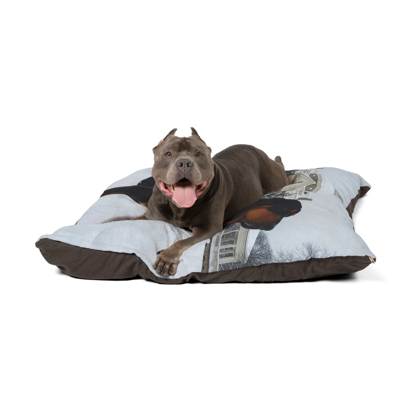 Black and Tan Hound Pet Bed