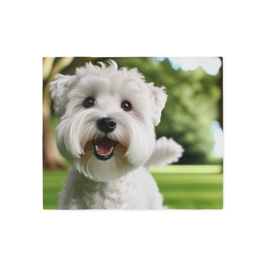 Sealyham Terrier Sweatshirt Blanket