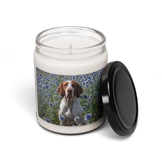 Braque Francais Pyrenean- Scented Soy Candle, 9oz