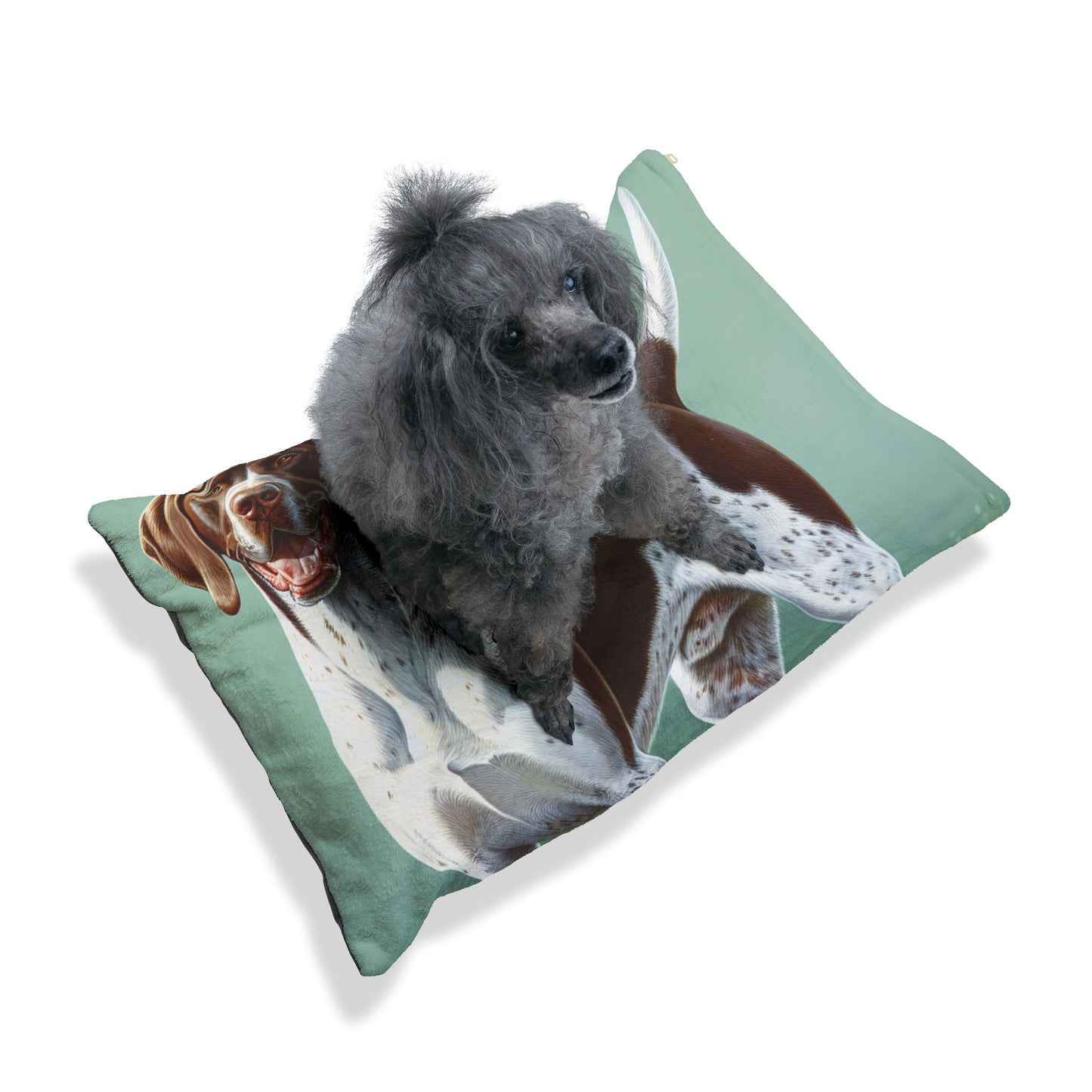 Pointer Pet Bed