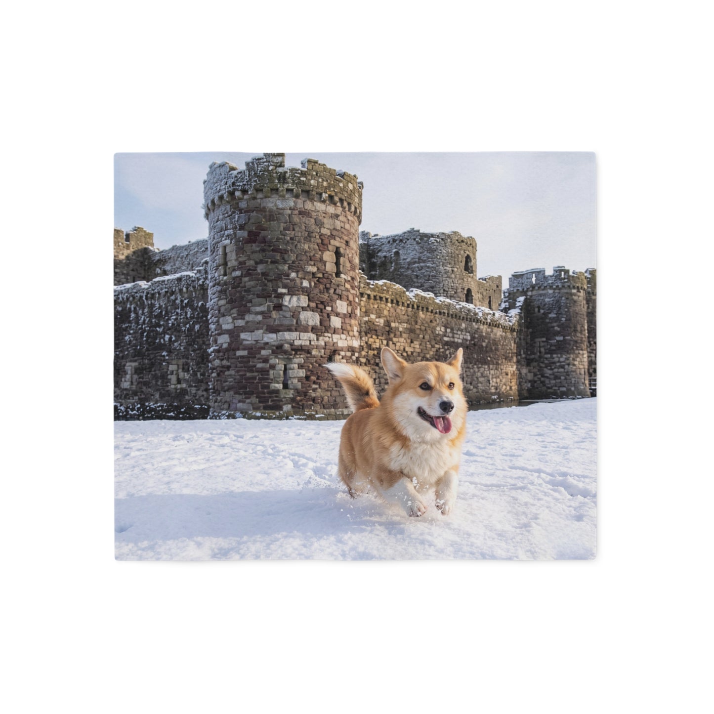 Welsh Corgi Blanket