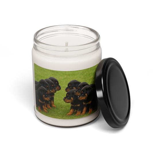 Rottweiler puppies- Scented Soy Candle, 9oz