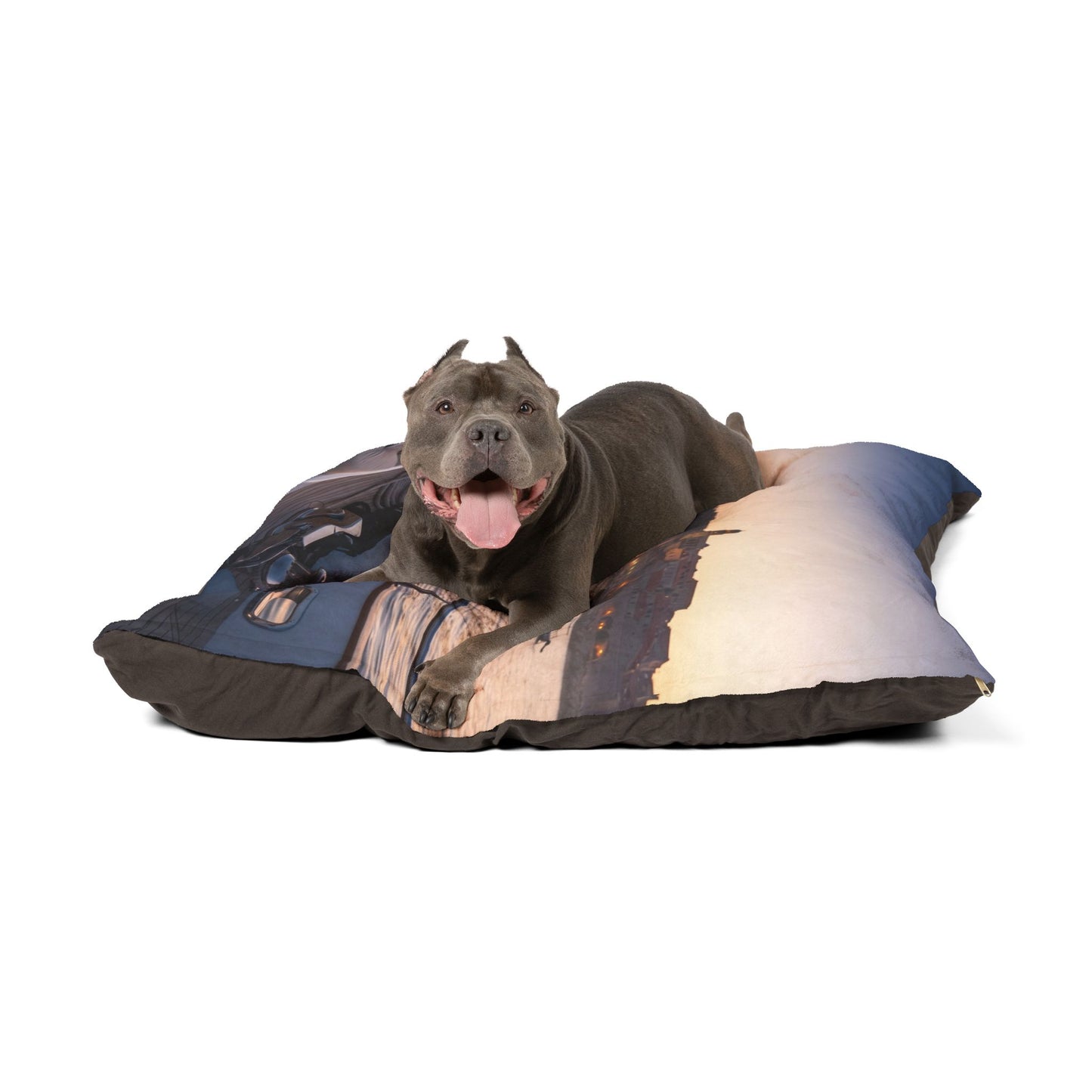 Dalmatian Pet Bed