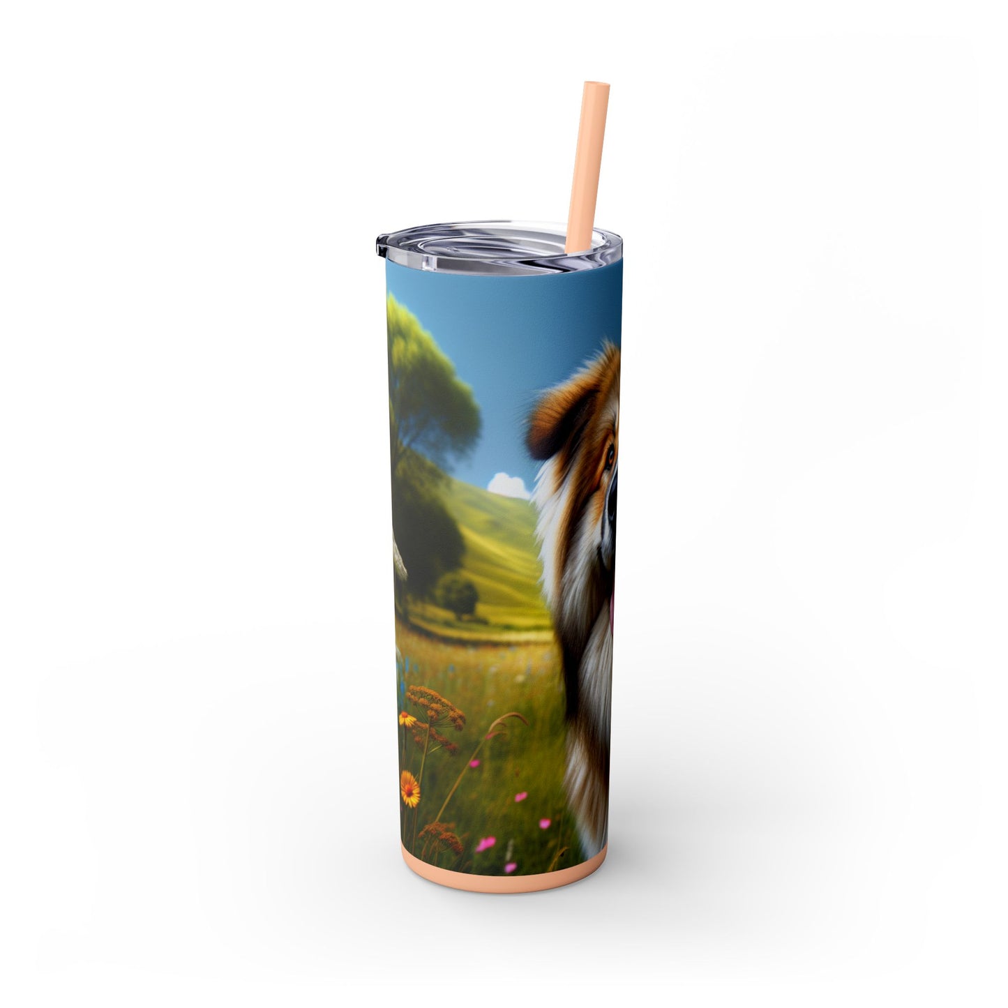 Bakharwal Tumbler with Straw, 20oz