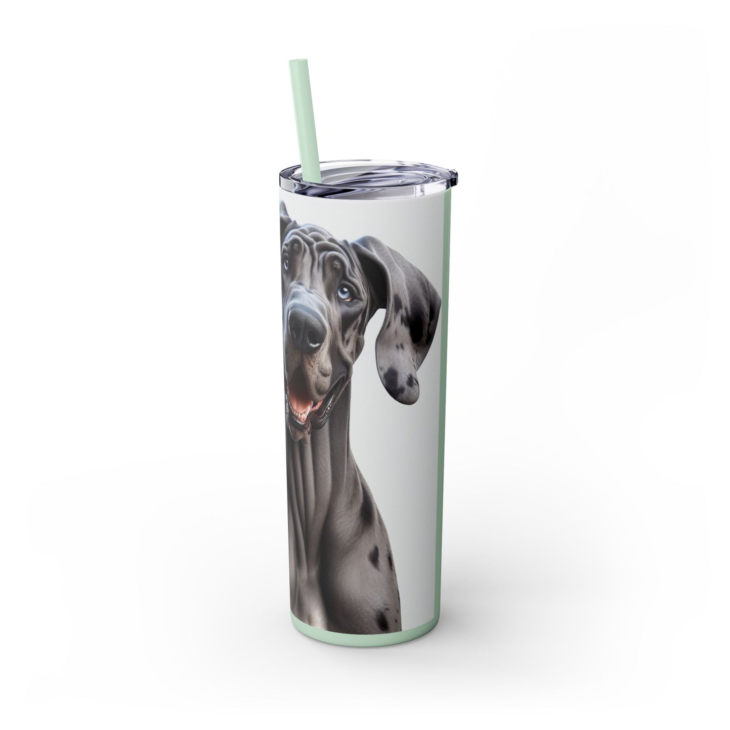 Great Dane Tumbler with Straw, 20oz