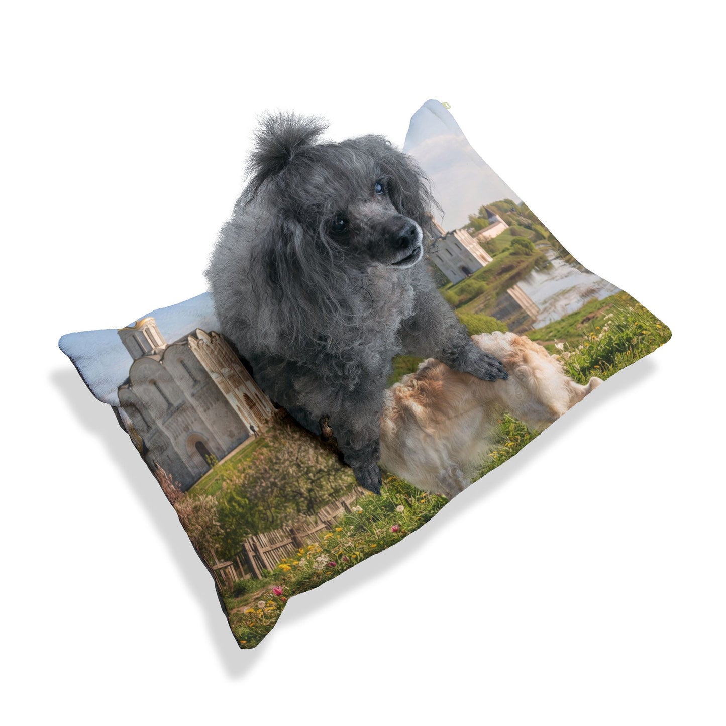 Borzoi Pet Bed