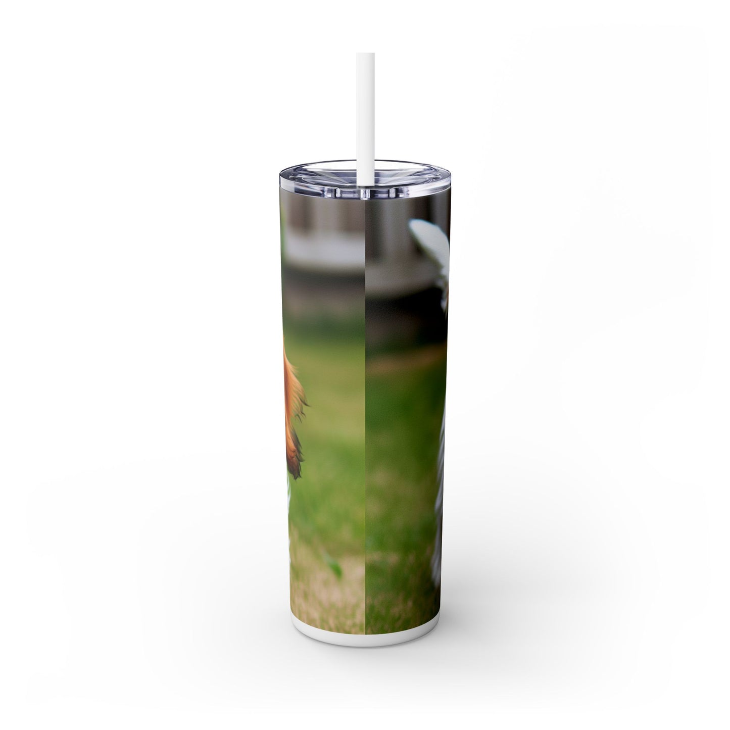 Petit Basset Griffon Vendeen Skinny Tumbler with Straw, 20oz
