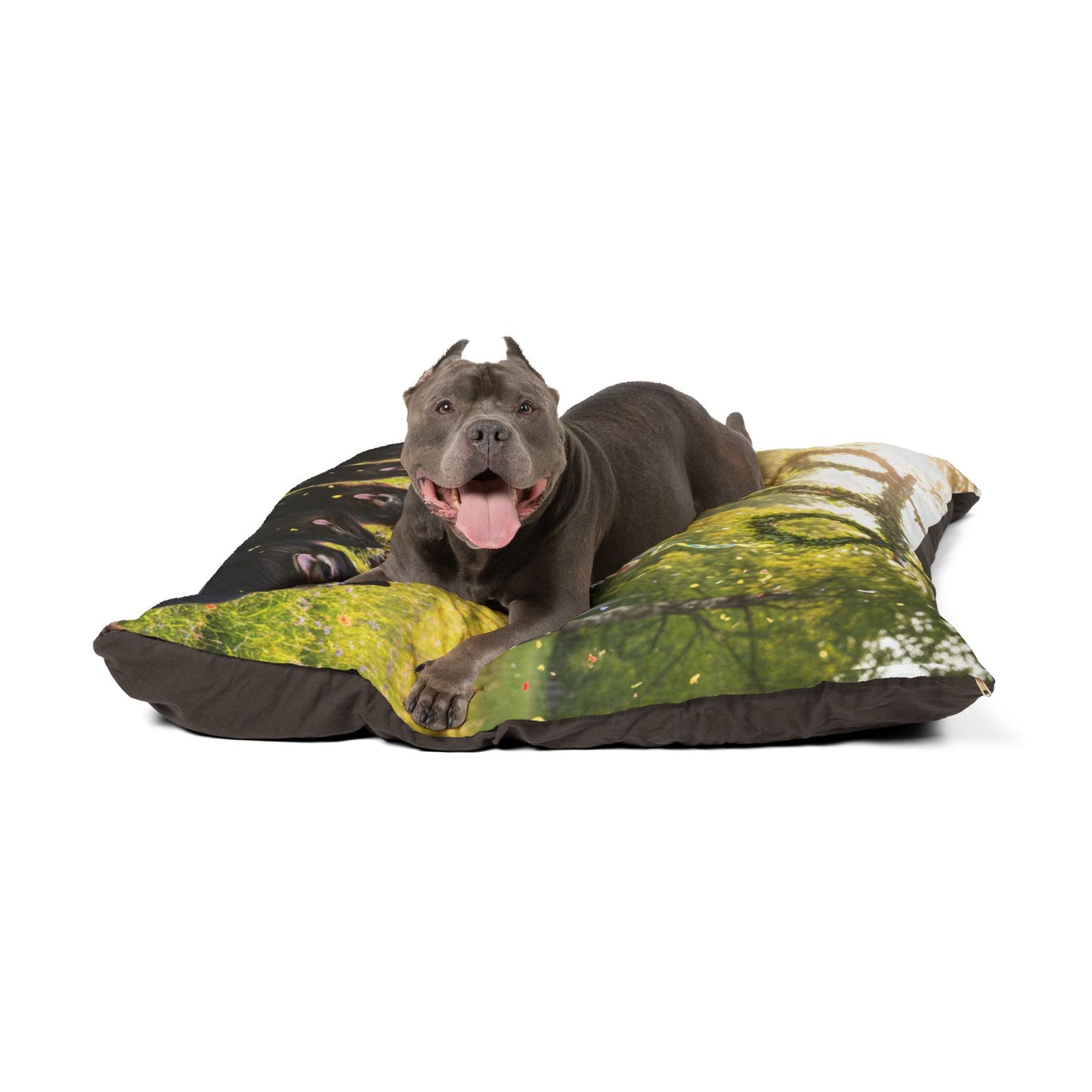 Swedish Lapphund Pet Bed