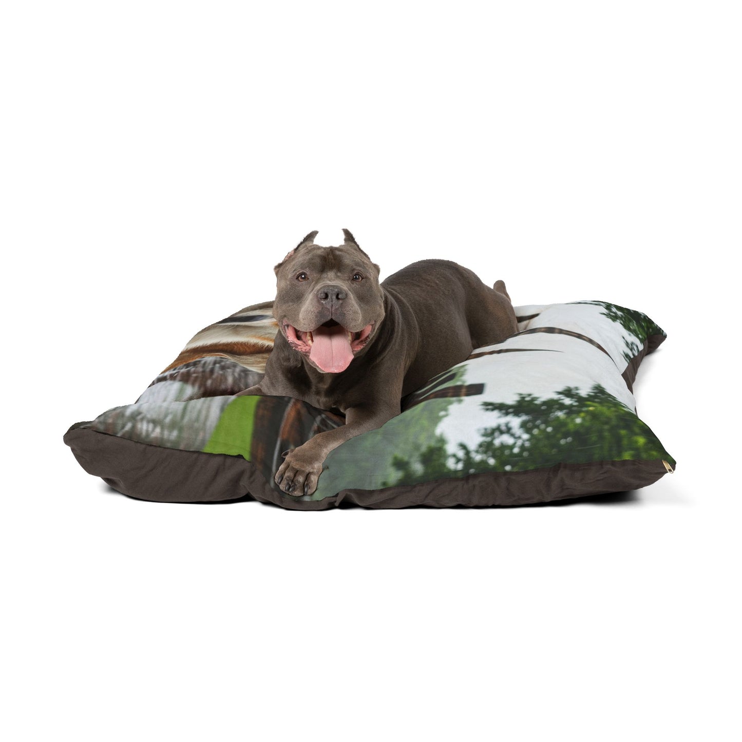 Thai Bangkaew Dog Pet Bed