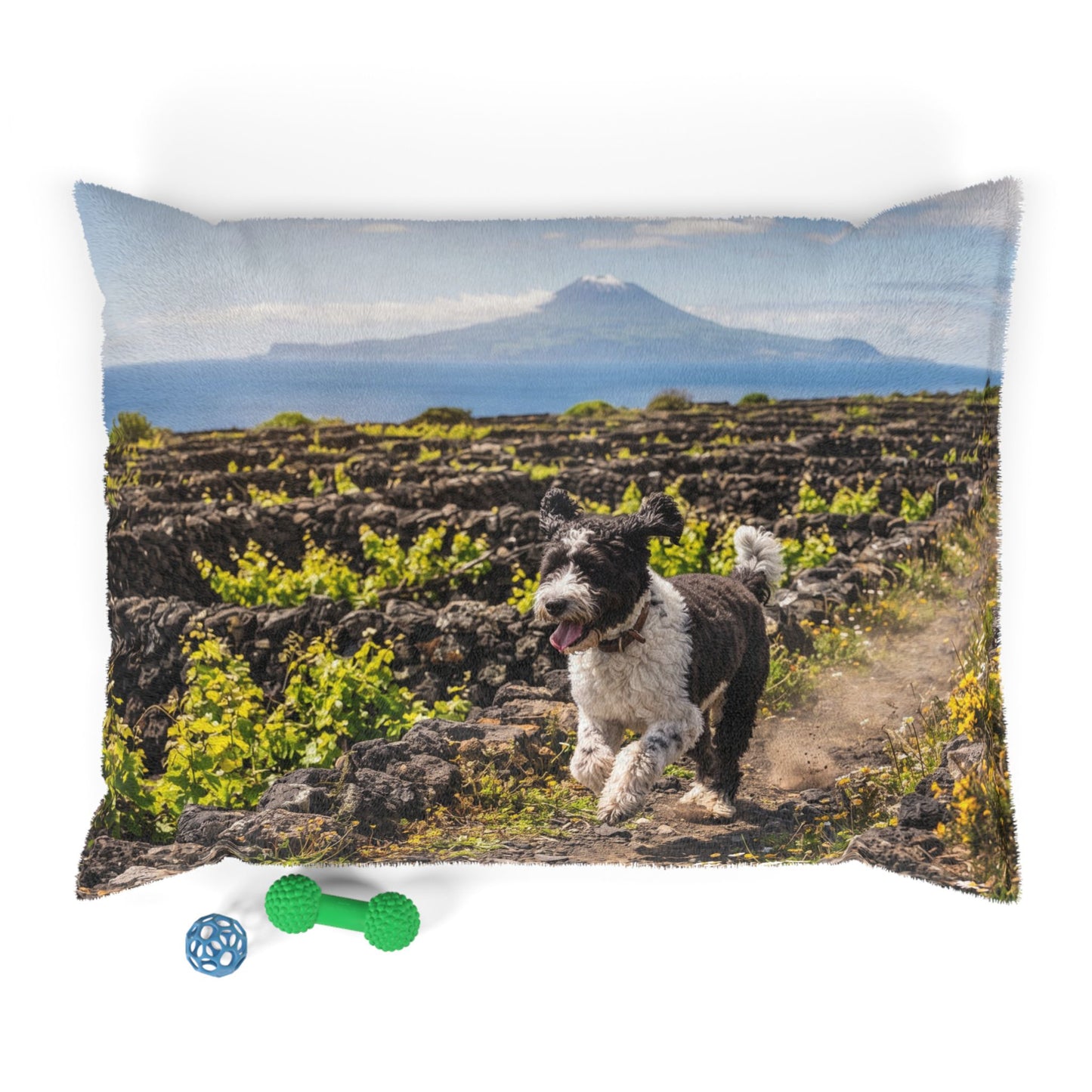 Portuguese Water Dog Pet Bed