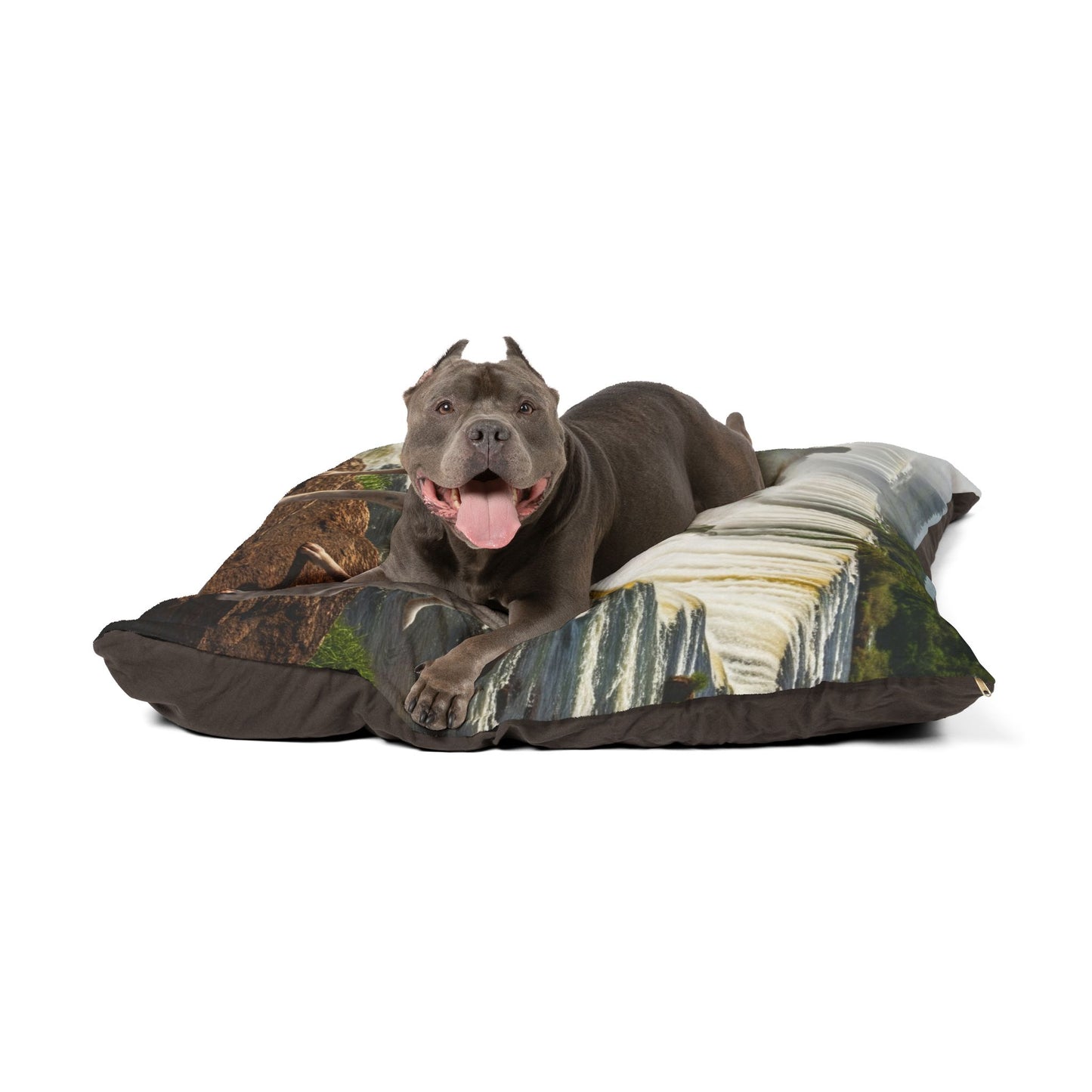Dogo Argentino Pet Bed
