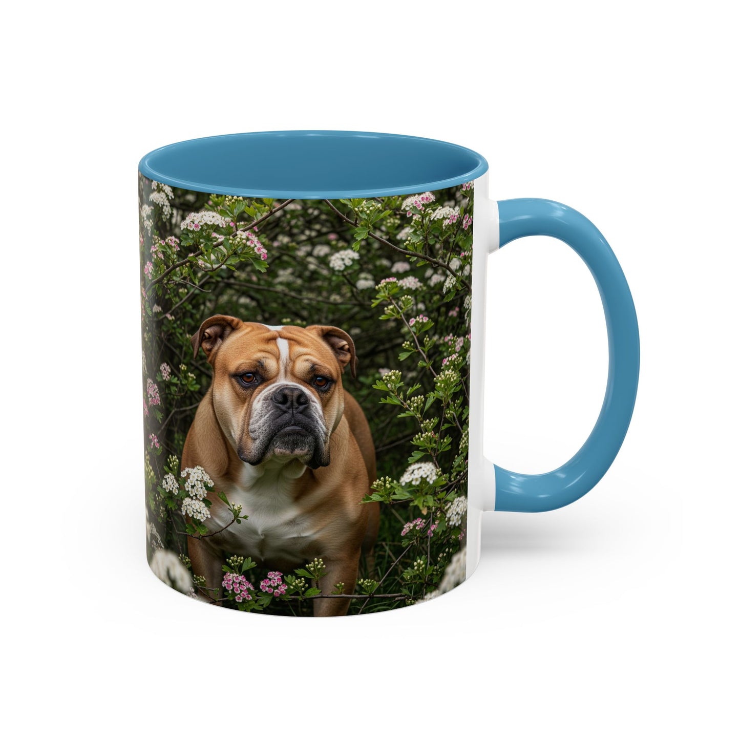 Mug à café Olde English Bulldogge Accent - Cadeau idéal pour les amoureux des chiens