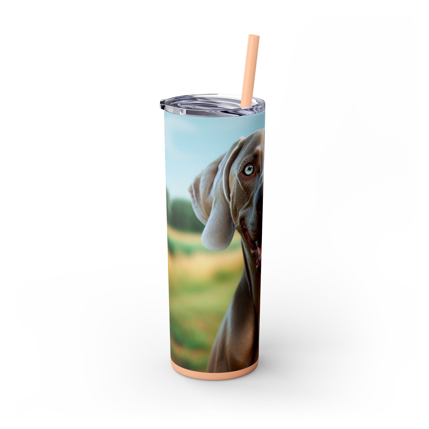 Weimaraner Skinny Tumbler with Straw, 20oz