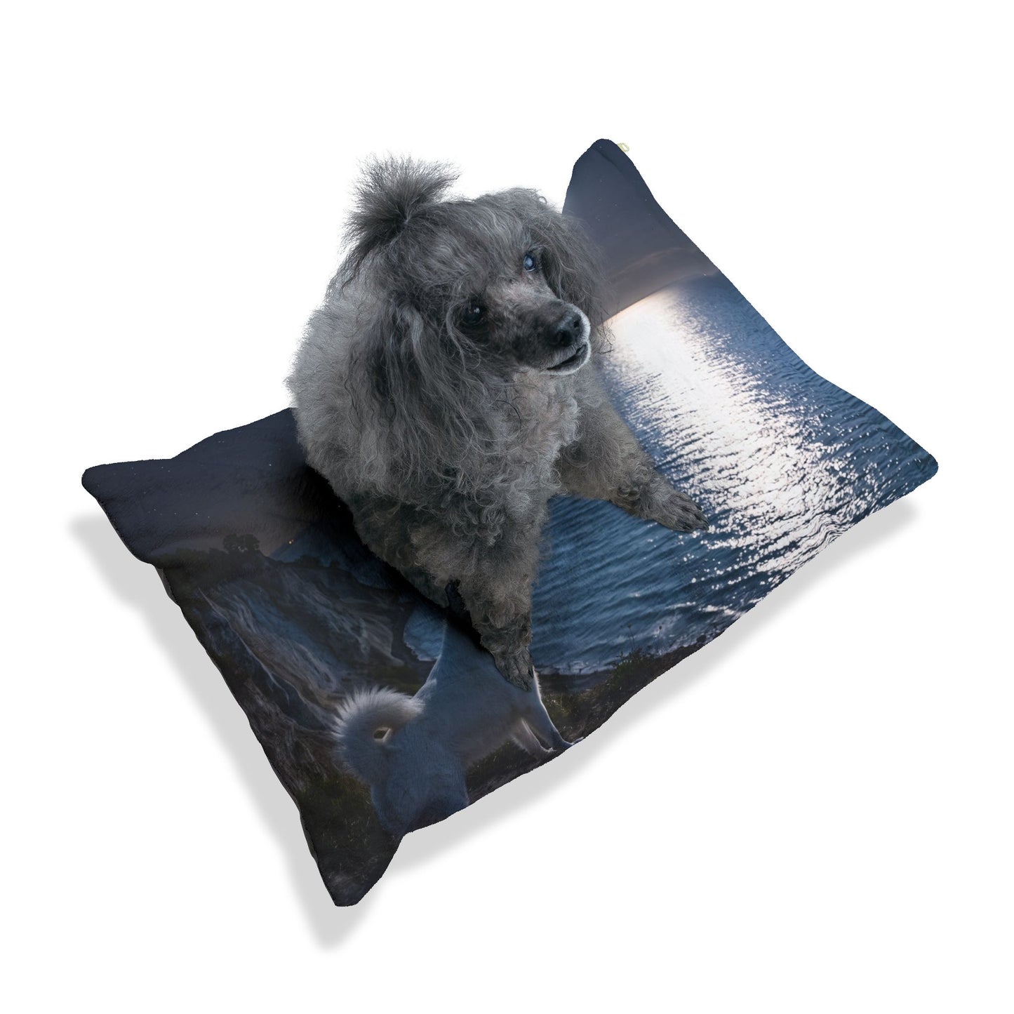 Danish Spitz Dog Bed