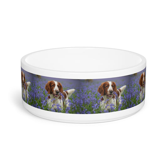 Welsh Springer Spaniel Pet Bowl
