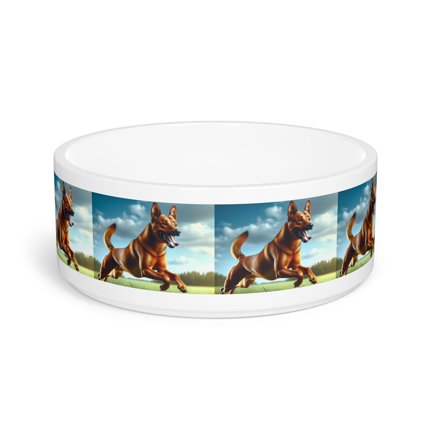 Gamelle pour animaux Kanni