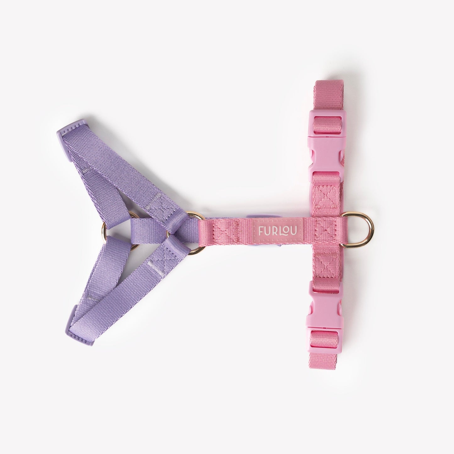 Harnais pour chien lavande et rose