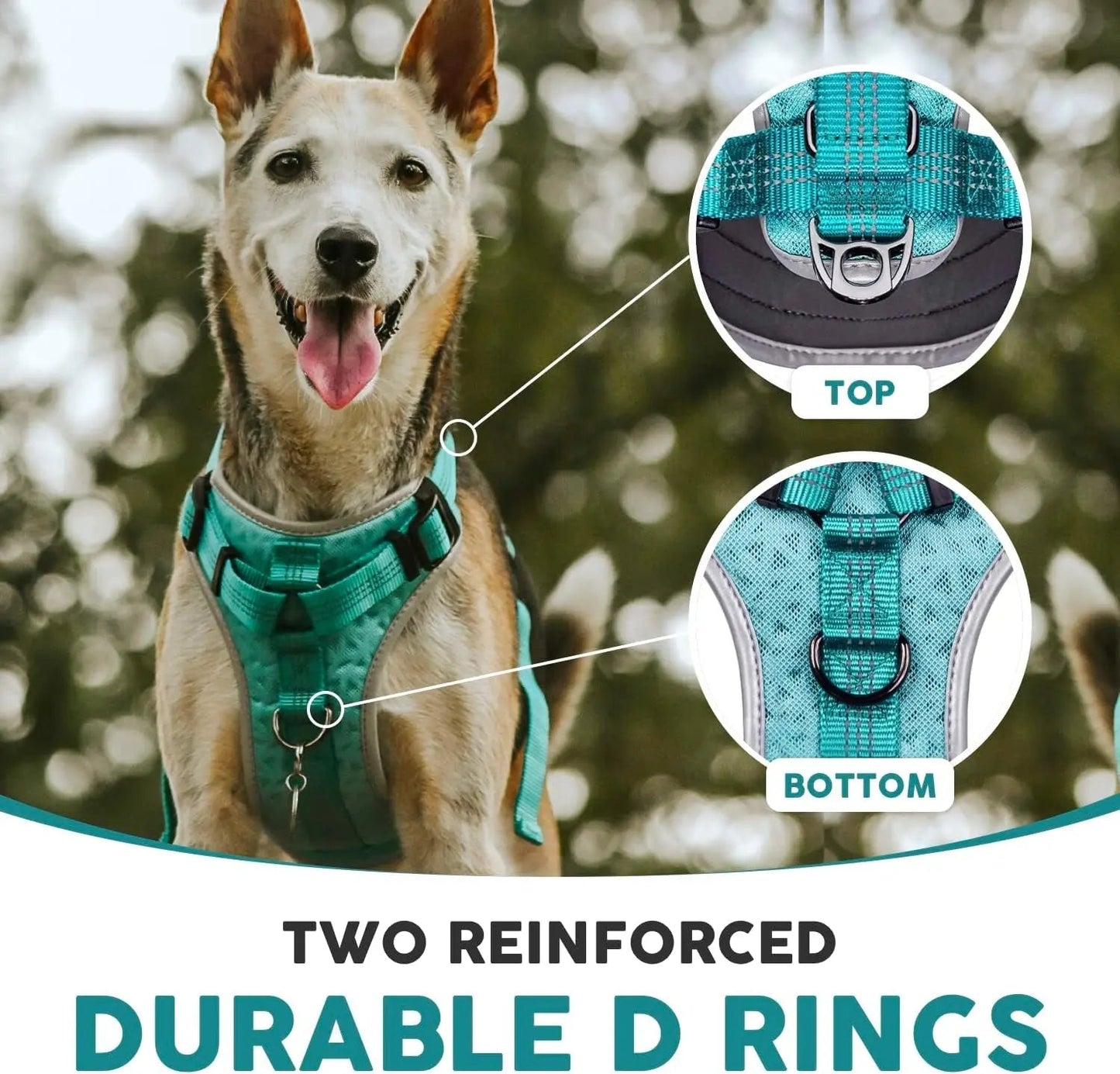 Harnais pour chien Embark Sports, harnais anti-traction pour grands chiens, léger et respirant - Facile à mettre et à enlever, idéal pour le dressage sans traction, taille ajustable, anti-étranglement avec poignée de contrôle. Gilet turquoise