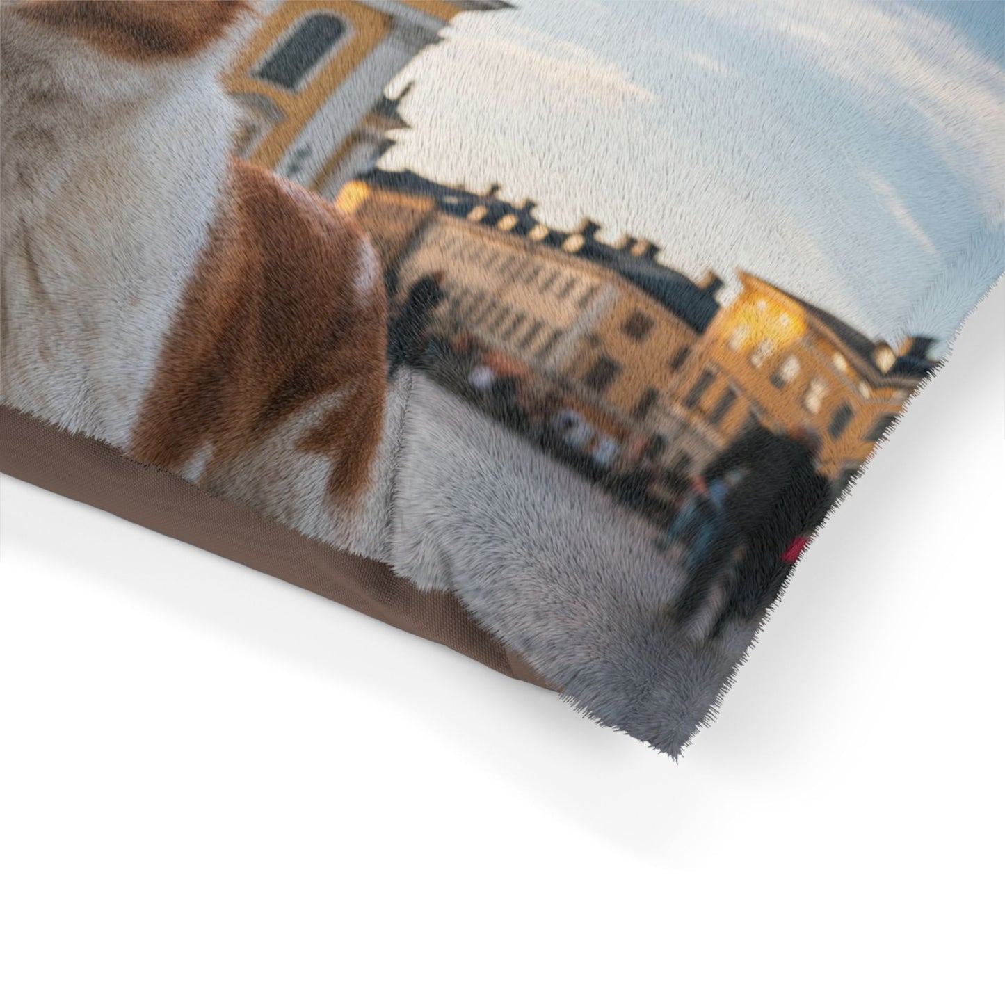 Norrbottenspets Pet Bed