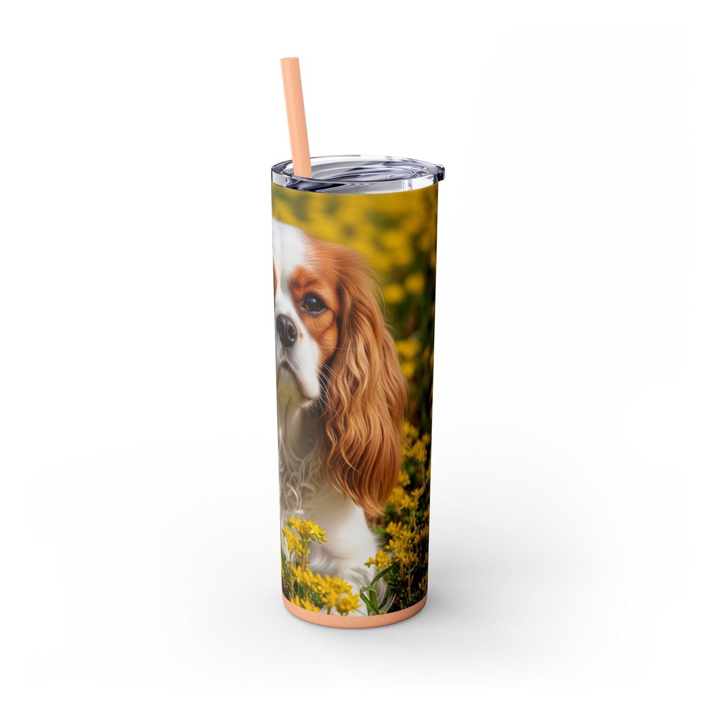 Skinny Tumbler with Straw – 20 oz Stainless Steel Cup